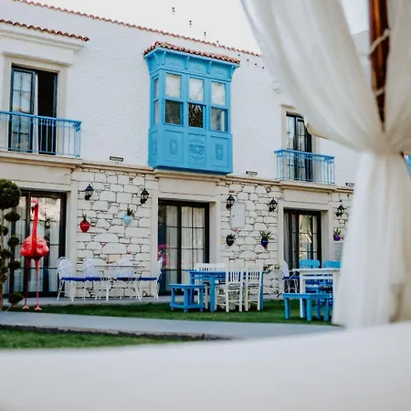 Vakantiehuis Trend Blue Boutique